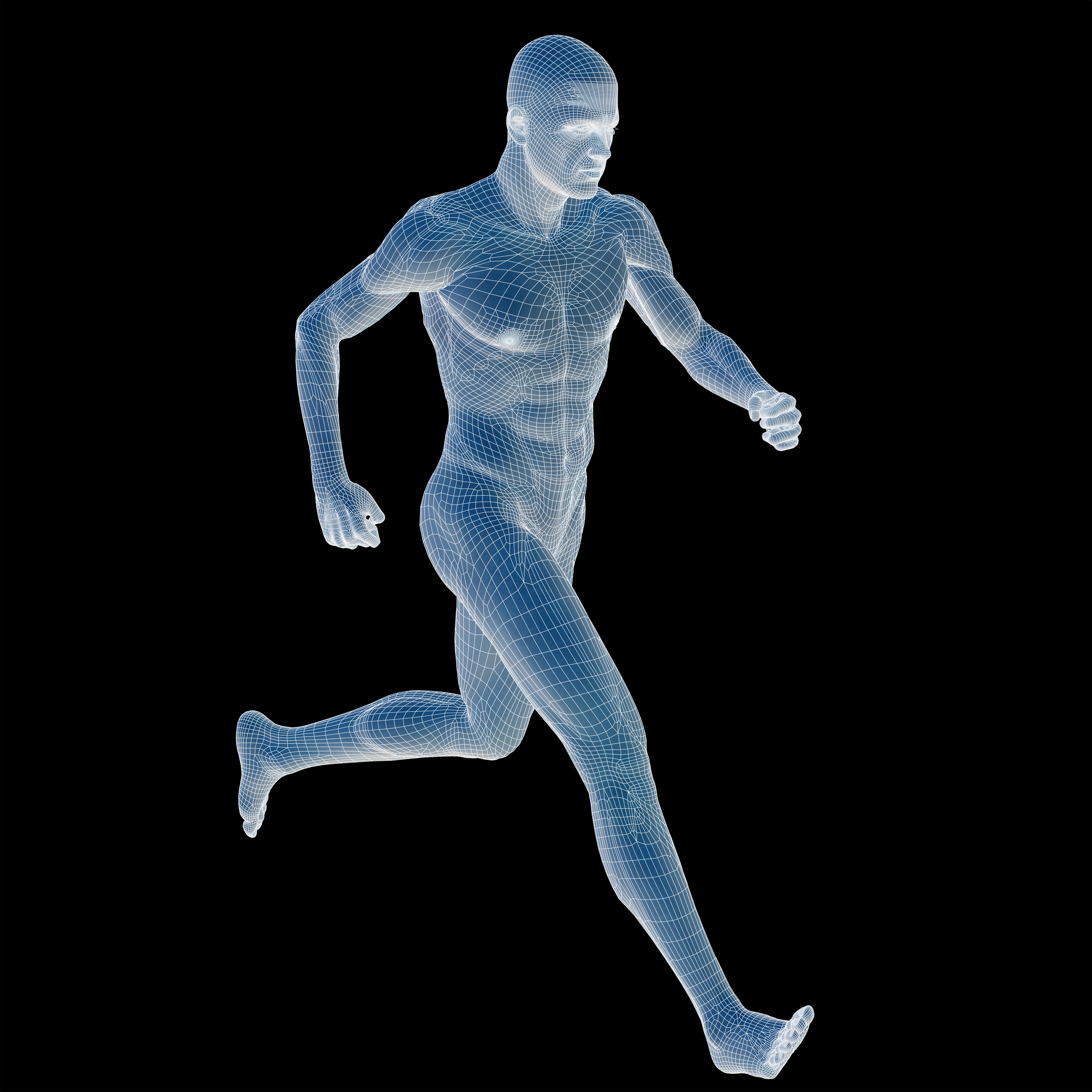 DEP MeshWorks Morphing Europe Simulation CAE Human